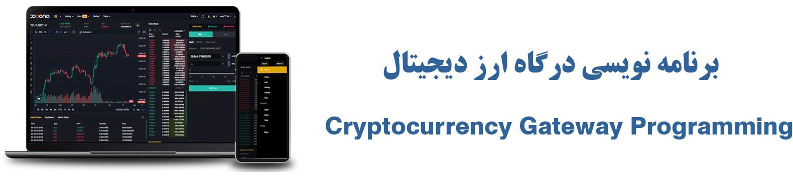 برنامه نویسی درگاه ارز دیجیتال